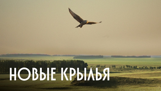Новые крылья